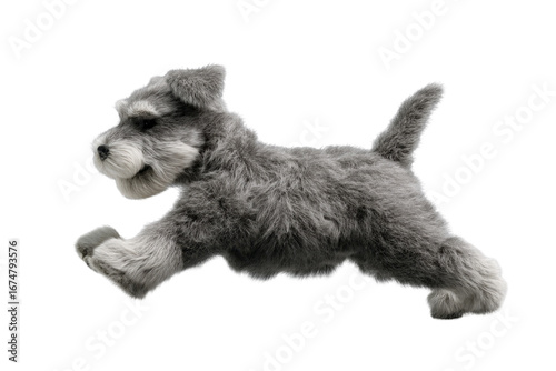 Cute puppy in running pose transparent background