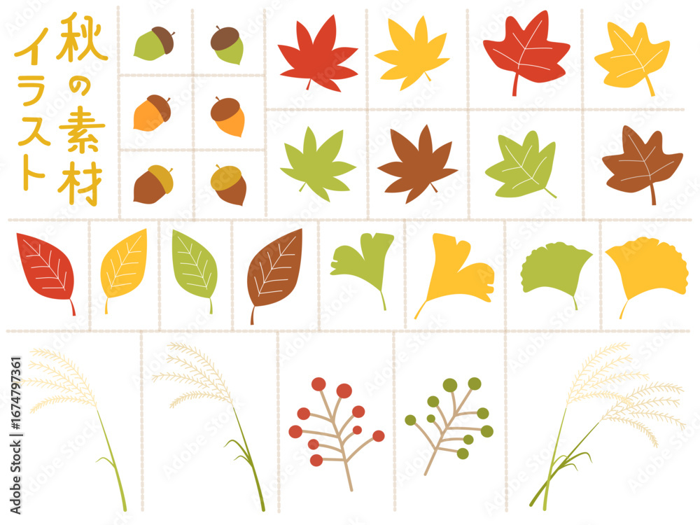 Obraz premium カラフルな秋の紅葉素材のセット