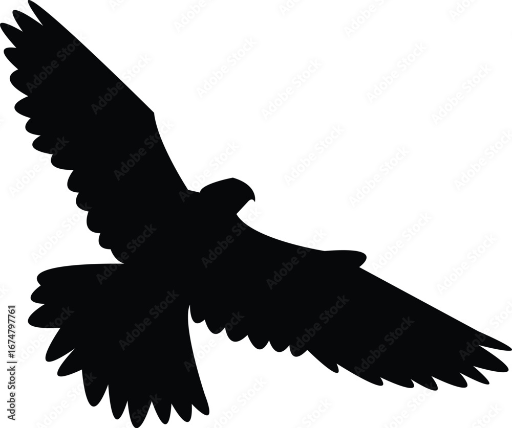 Obraz premium Flying Amur falcon bird Silhouette Design And Vector Illustration. 