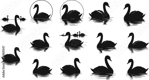 Black swan silhouettes on water, elegant bird reflections, graceful wildlife art, nature illustration, decorative animal design, pond scene, vector graphic