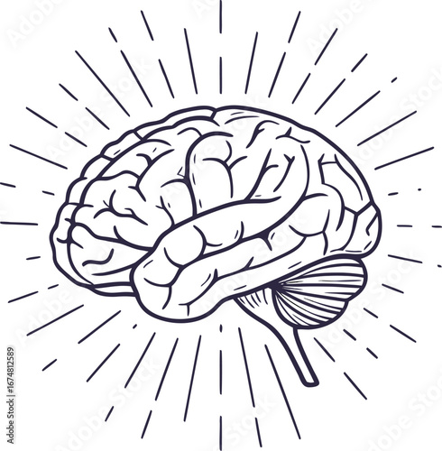 Stylized Line Art Brain with Sunburst Rays human brain
