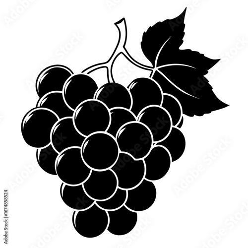 Black Grapes Fruit Line Art Vector Illustration on White Background