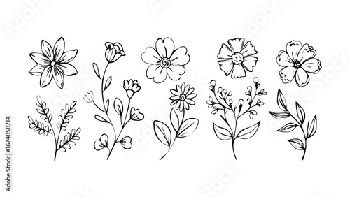 Delicate floral outlines with subtle highlights flowers line art