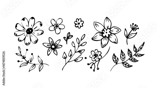 Floral and Leafy Doodle Elements flowers leaves