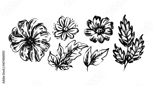 Hand drawn floral elements with sketched petals and leaves flowers