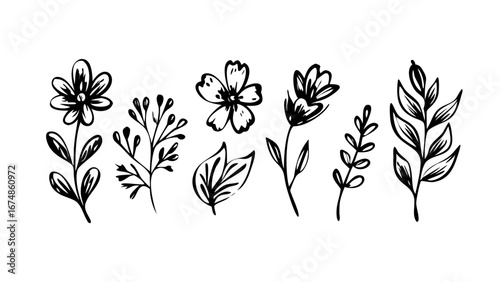 Hand Drawn Ink Floral Elements flowers leaves