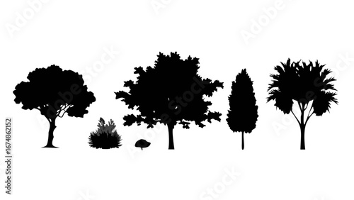 Minimalist Trees and Pine Needles Silhouette nature forest