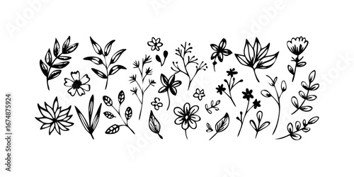 Delicate floral petal strokes petals abstract