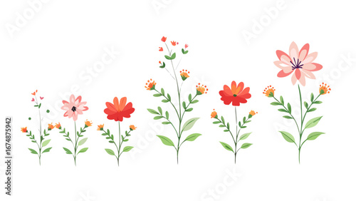 Delicate floral stems with blooming flowers leaves