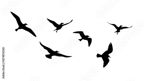 Flock of Birds in Flight and Perched flying sitting