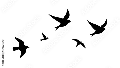 Flock of birds in flight and perched flying sitting