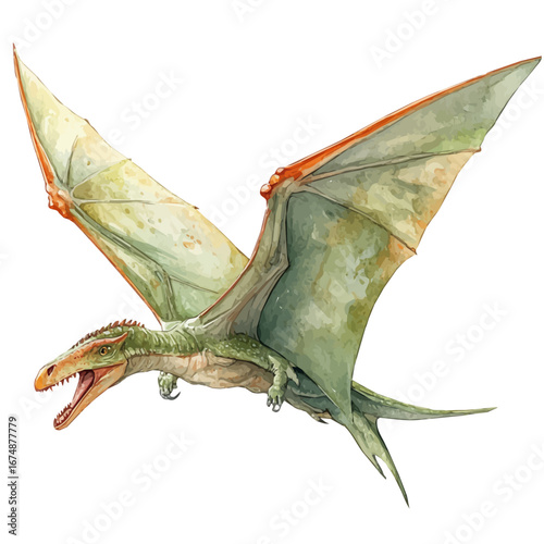Pteranodon, watercolor painting vector, isolated on a white background.