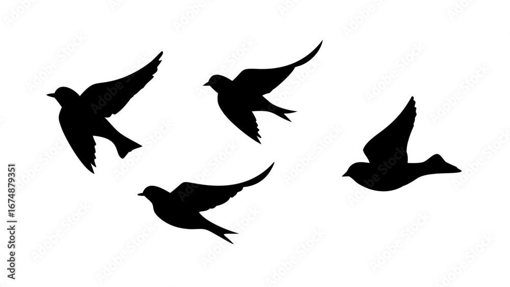 Fototapeta premium Man playing guitar musician music