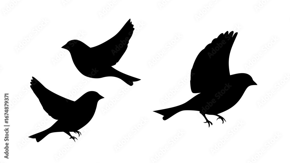 Fototapeta premium Male Athlete Running runner sport