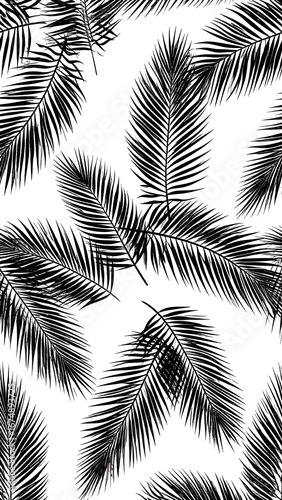Black palm leaves on white background