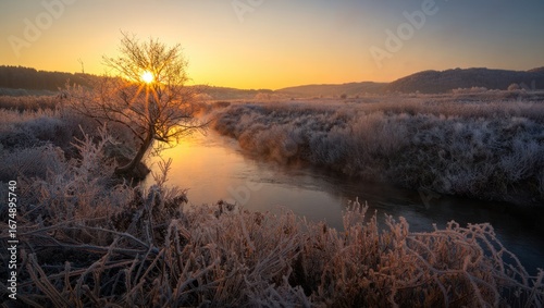 Frosted tree and river at sunrise in a serene winter landscape
