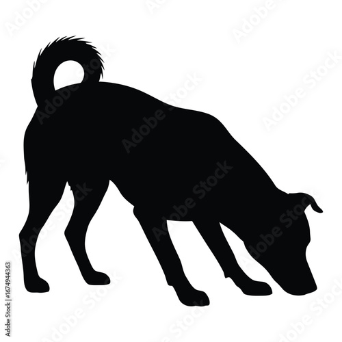 Black silhouette of a domestic dog in a sniffing pose. Canine pet animal tracking a scent with its nose to the ground on an isolated white background