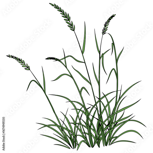 Illustration of a lush green meadow grass plant mockup for design and decorative purposes