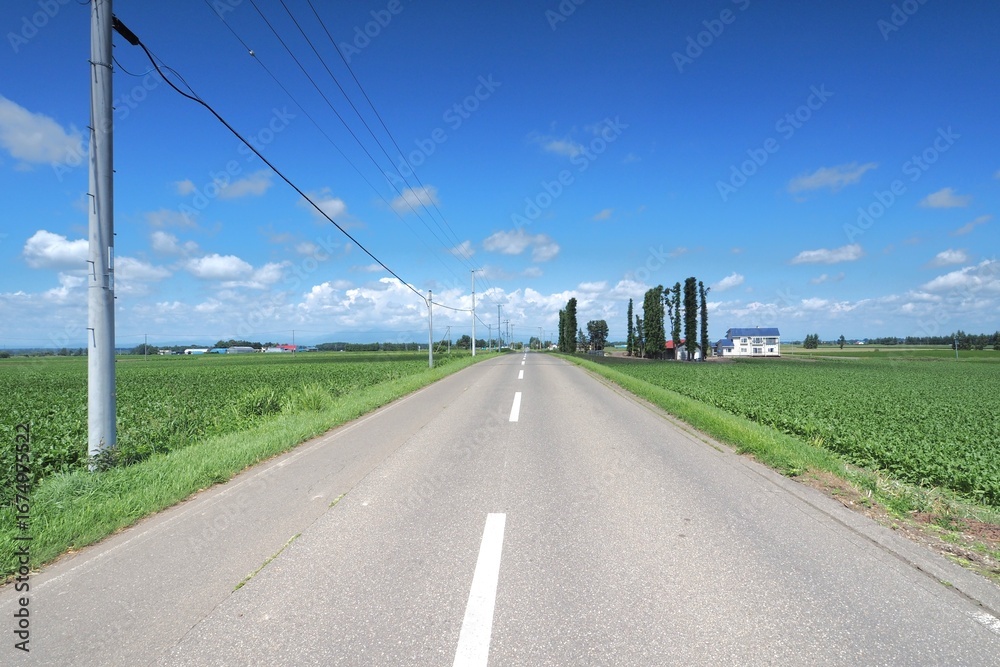 Fototapeta premium Rural roads in Hokkaido