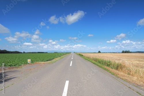 Rural roads in Hokkaido