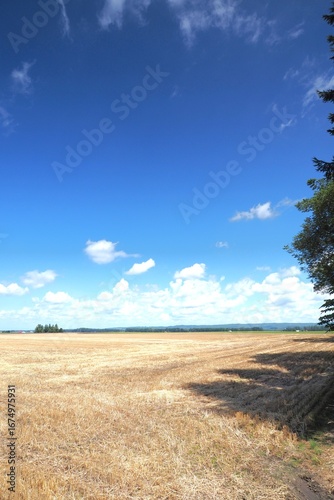 Rural roads in Hokkaido