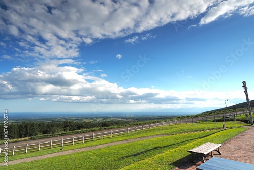 landscape with vineyard and blue sky