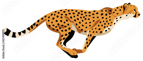A cheetah in full stride, its spotted coat and powerful legs clearly depicted as it runs swiftly.