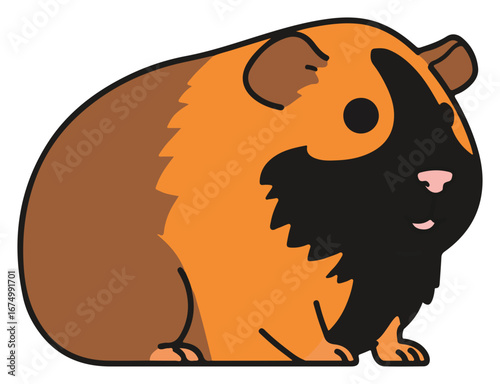 Cartoon illustration of an orange and brown guinea pig with a black facial marking.