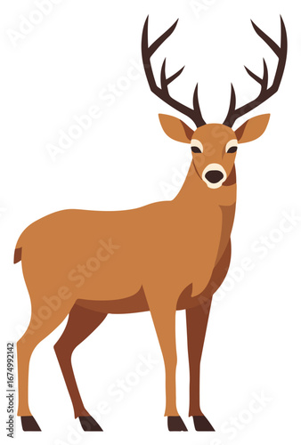 Illustration of a brown deer with large antlers, standing and looking forward.