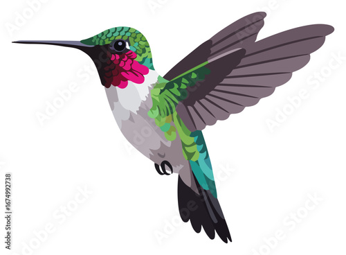 A vibrant illustration of a hummingbird in mid-flight, showcasing its colorful plumage and extended wings.