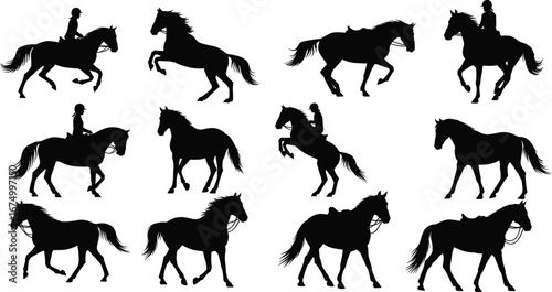 Silhouette of horses and riders in various poses, horseback riding, equestrian sport, horse jumping, horse walking, horse training