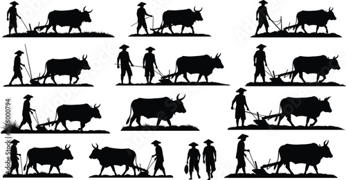 Silhouettes of traditional farmers working with oxen plowing fields, rural agriculture, farming, livestock, countryside, farming tools, farming lifestyle, agricultural work