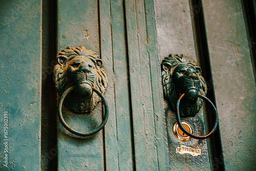 Weathered Green Door with Ornate Lion Knobs