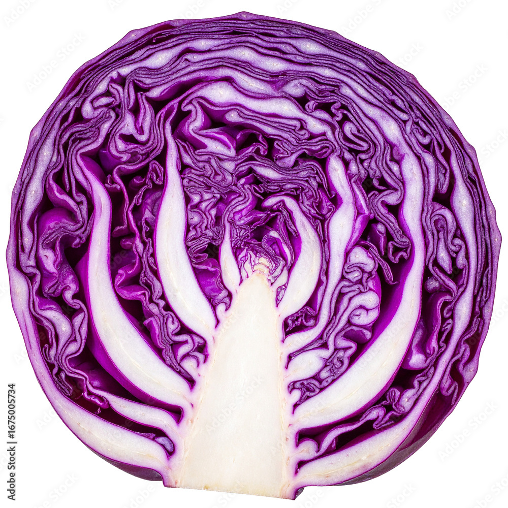 Obraz premium Vivid Cross-section of Red Cabbage Isolated On White Background: A stunning, close-up view of a halved red cabbage reveals its intricate layers and vibrant colors in crisp detail.