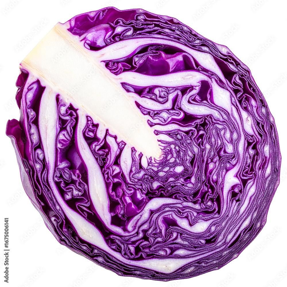 Obraz premium Vibrant Purple Cabbage Isolated On White Background: A captivating, close-up view of a fresh, halved purple cabbage, revealing its intricate layers and textures, showcasing its culinary potential.