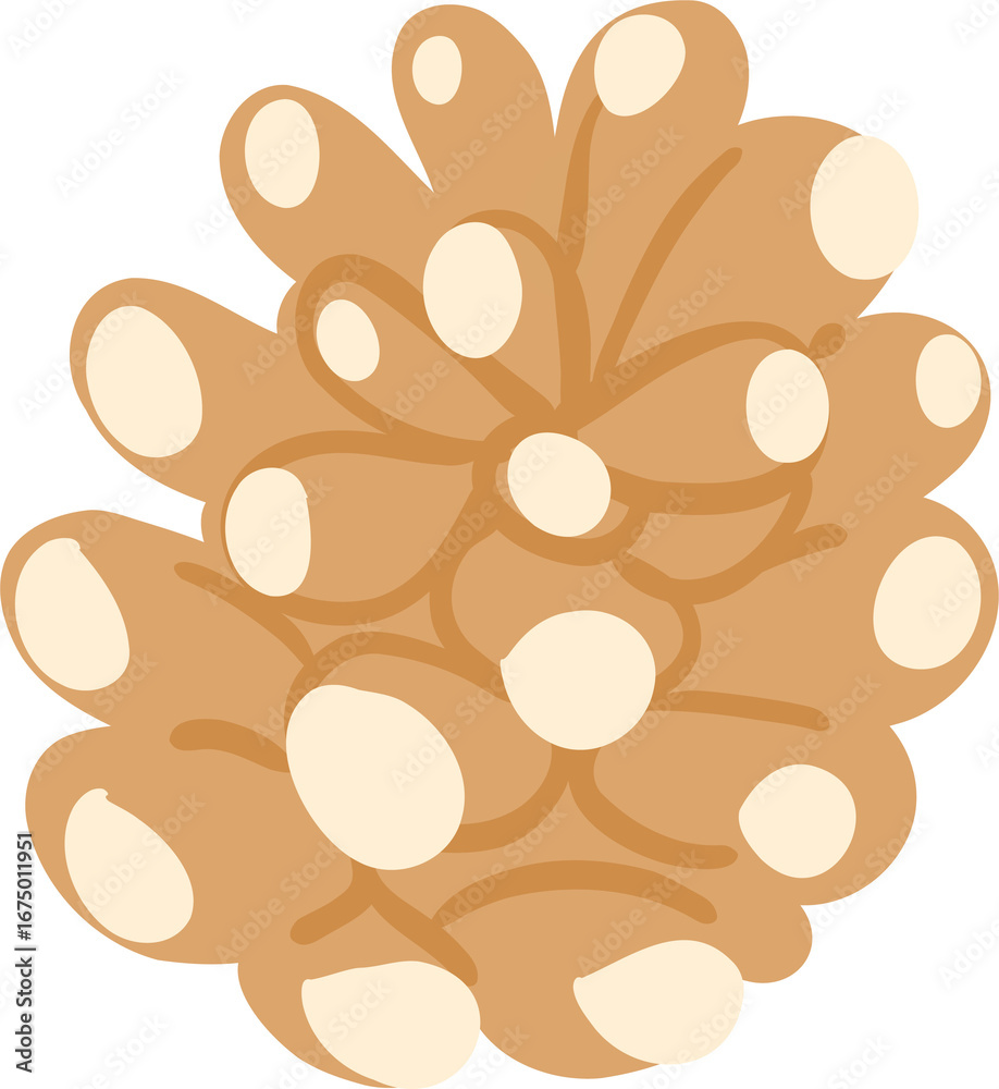 Obraz premium Pinecone Clipart, Rustic Winter Pinecone PNG, Cozy Woodland Forest Illustration