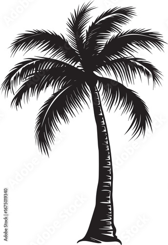 long coconut tree silhouette vector, simple, 2d icon black vector illustration