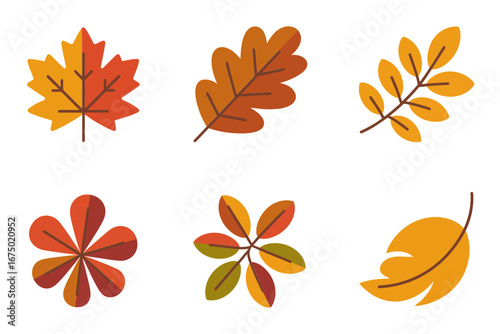 Autumn leaves assorted set, maple oak elm chestnut foliage swirls and twigs, fall season vector icons, botanical clipart for scrapbooking