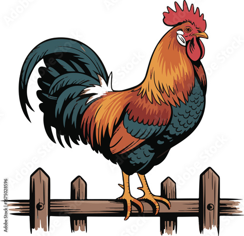 Hand-Drawn Rooster Sketch Perched on Fence Bright Feathered Farm Bird Vector