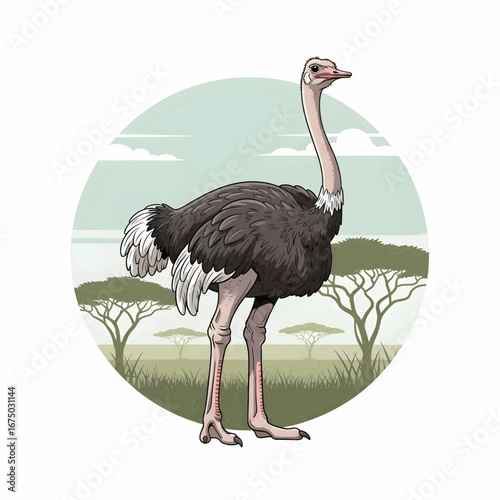 Vector illustration of an ostrich with savanna habitat background

