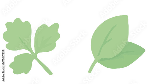 Flat design illustration of fresh green leaves. Minimalist style for nature and food concepts.