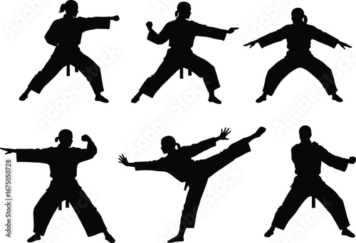 Martial arts silhouette practicing moves, karate poses, self-defense technique, black belt training, fighting stances, combat sport illustration for design.