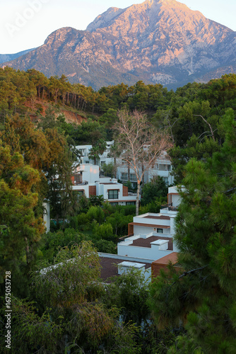 White villas surrounded by incredible nature. Huge mountain, palm and pine trees in warm summer morning on background.
