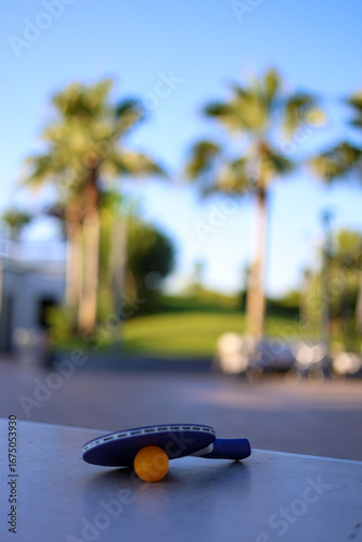 Table tennis racket and ball lying on a table with a summer landscape and palm trees in the background 