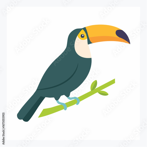 Colorful Toucan Perched On Branch