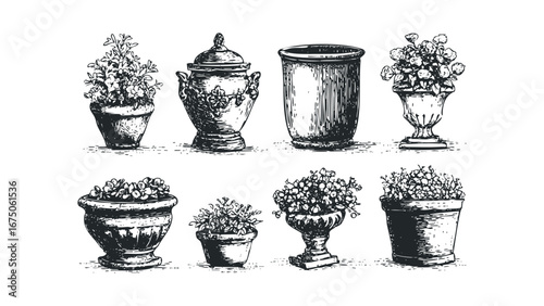 Collection of Ornate and Simple Planters with Lush Greenery. Vector hand drawn illustration