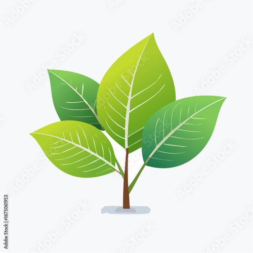 apple leaves isolated white background leaves apple clipping path,vector art