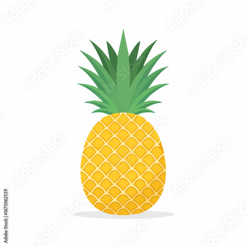 pineapple isolated white clipping path,vector art