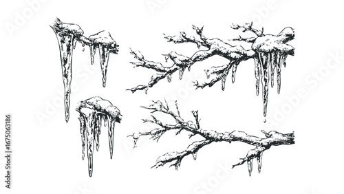 Black and White Drawing of Snow-Covered Branches with Icicles. Vector hand drawn illustration
