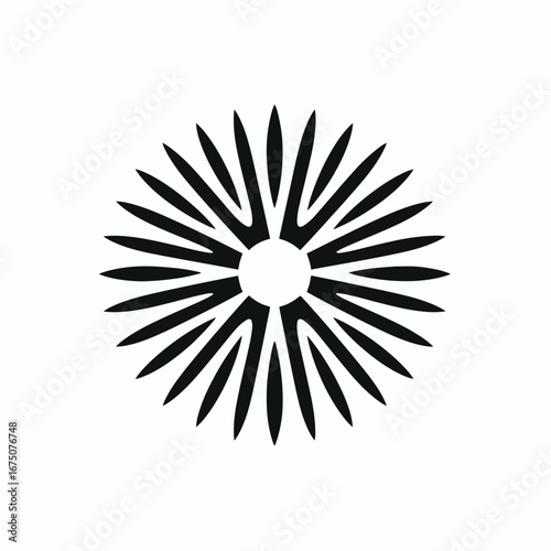 Striking radial burst design in black and white circular vector silhouette